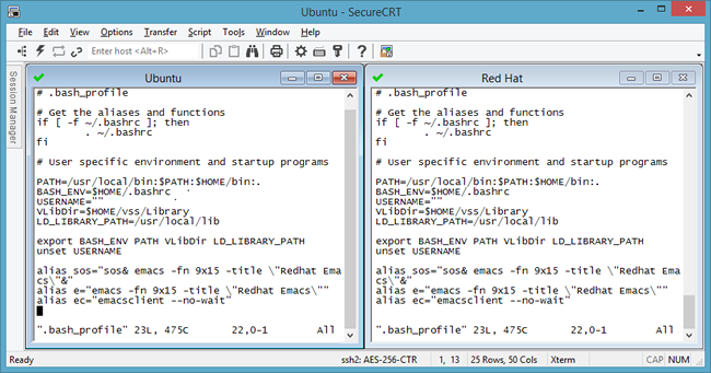 Screenshot of basic tiled session display in SecureCRT