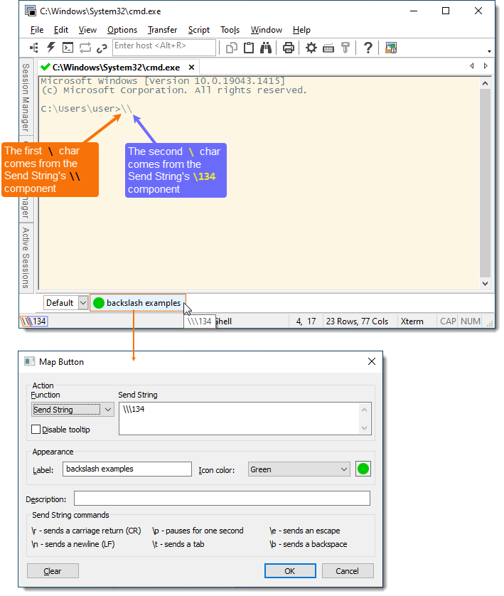 Screenshot showing backslash examples